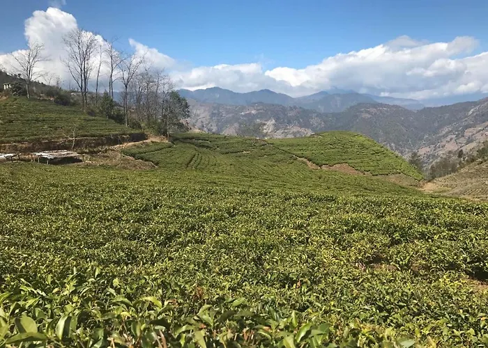 Prakriti And Organic Farm Pvt. Ltd. ファームステイ カトマンズ