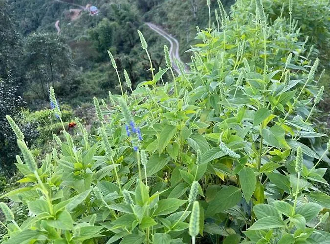 ファームステイ Prakriti And Organic Farm Pvt. Ltd. *