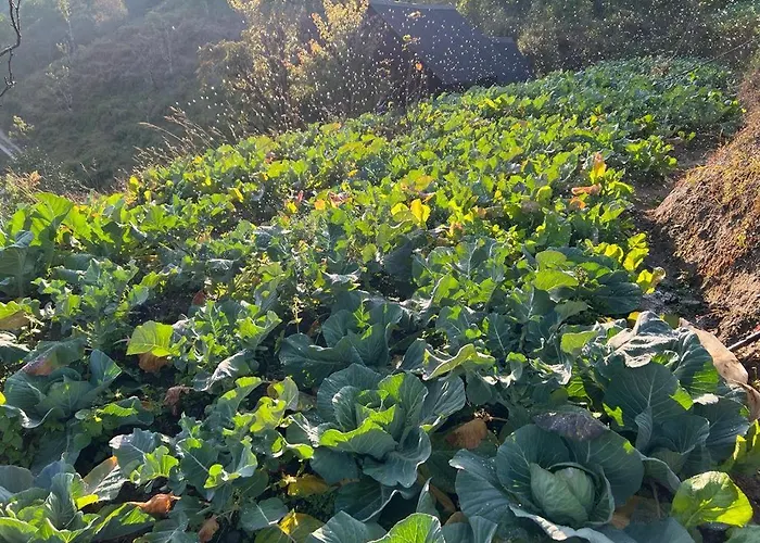 Prakriti And Organic Farm Pvt. Ltd. ファームステイ