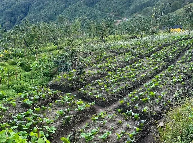 Prakriti And Organic Farm Pvt. Ltd. ファームステイ