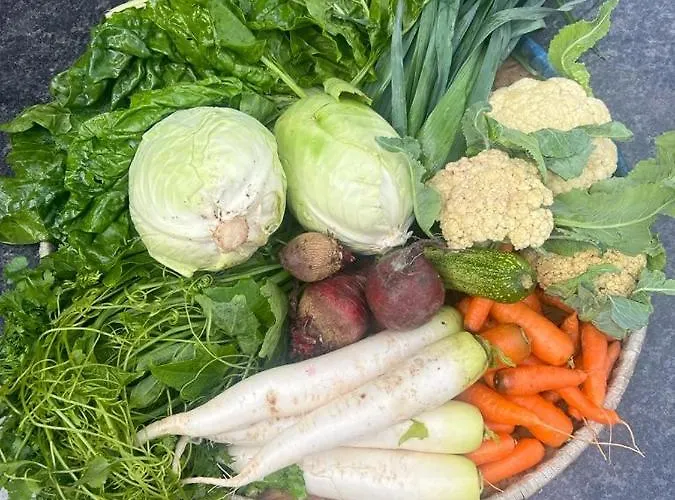 ファームステイ Prakriti And Organic Farm Pvt. Ltd.