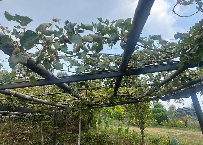 Prakriti And Organic Farm Pvt. Ltd. ファームステイ