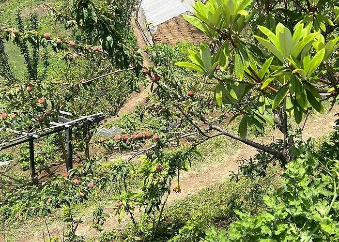 Prakriti And Organic Farm Pvt. Ltd. * カトマンズ