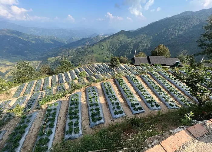 ファームステイ Prakriti And Organic Farm Pvt. Ltd. *