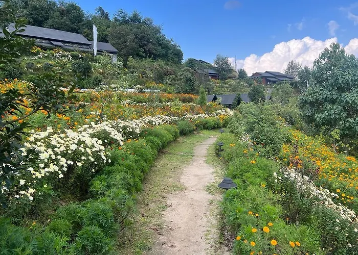 Prakriti And Organic Farm Pvt. Ltd. * カトマンズ