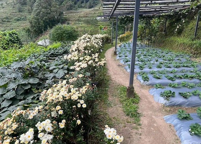 Prakriti And Organic Farm Pvt. Ltd. ファームステイ カトマンズ
