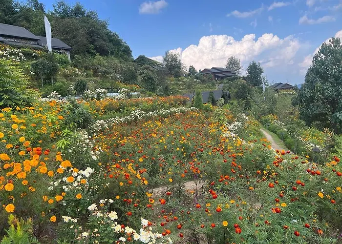 Prakriti And Organic Farm Pvt. Ltd. カトマンズ