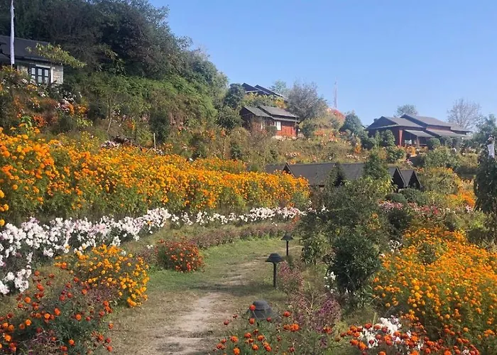 Prakriti And Organic Farm Pvt. Ltd. *