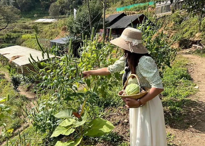 Prakriti And Organic Farm Pvt. Ltd. ファームステイ *