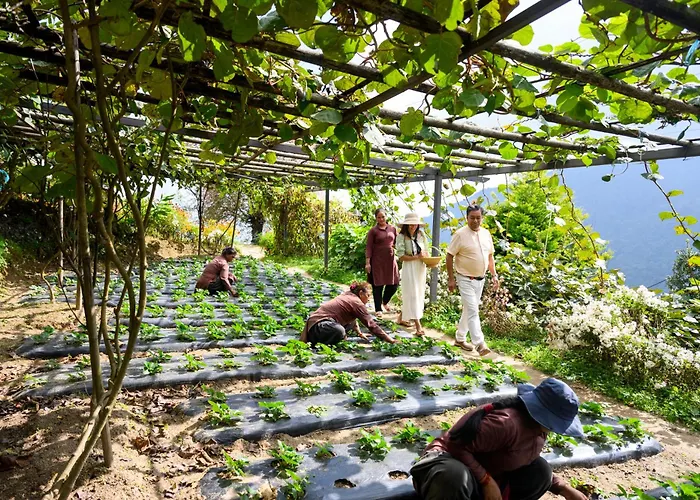Prakriti And Organic Farm Pvt. Ltd. ファームステイ