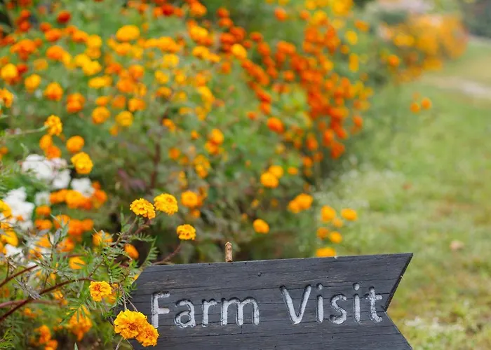 Prakriti And Organic Farm Pvt. Ltd. ファームステイ *