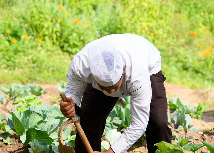 Prakriti And Organic Farm Pvt. Ltd. ファームステイ *